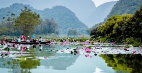 chua-huong-thuoc-tinh-nao